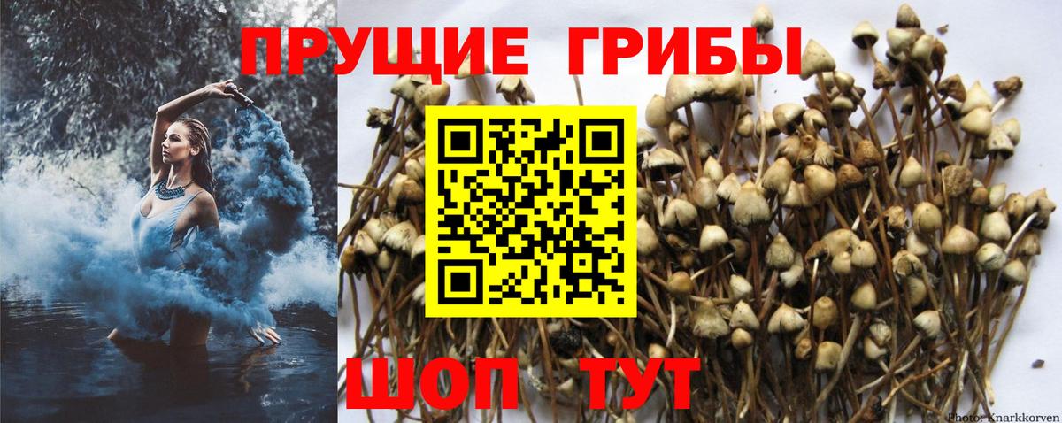 Галлюциногенные грибы MAGIC MUSHROOMS  Вход с VPN  Скопин  Галлюциногенные грибы Magic Shrooms 