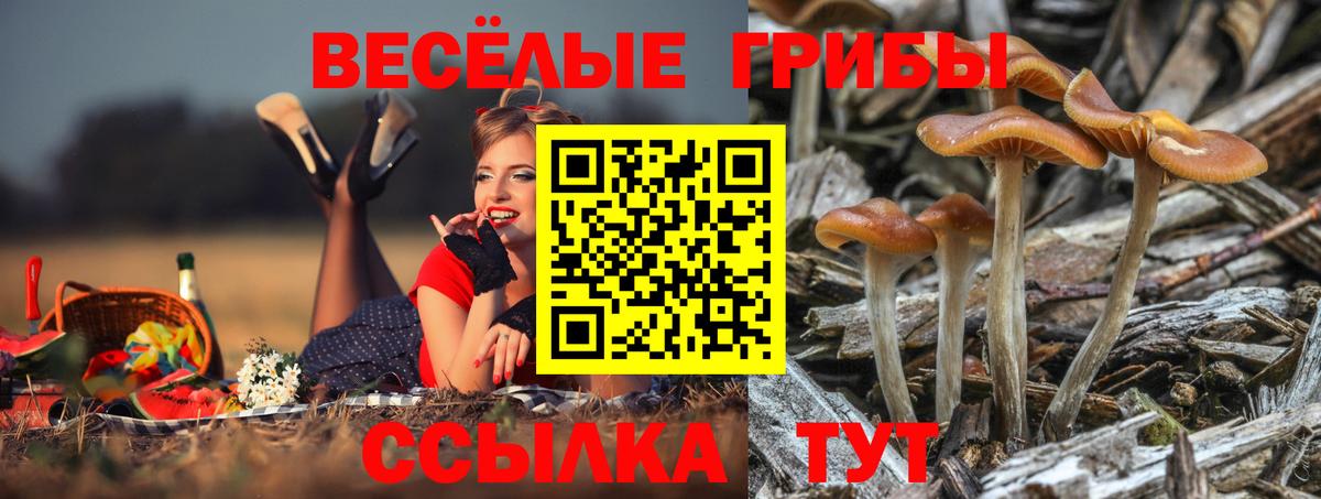 Псилоцибиновые грибы мухоморы Скопин